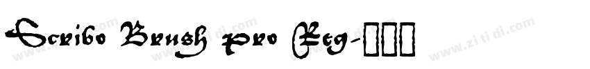 Scribo Brush Pro Reg字体转换